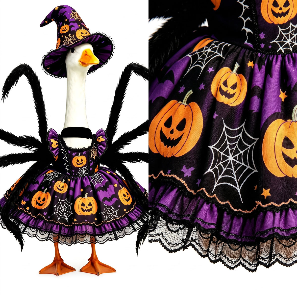 Halloween Spider Witch Porch Goose Outfit